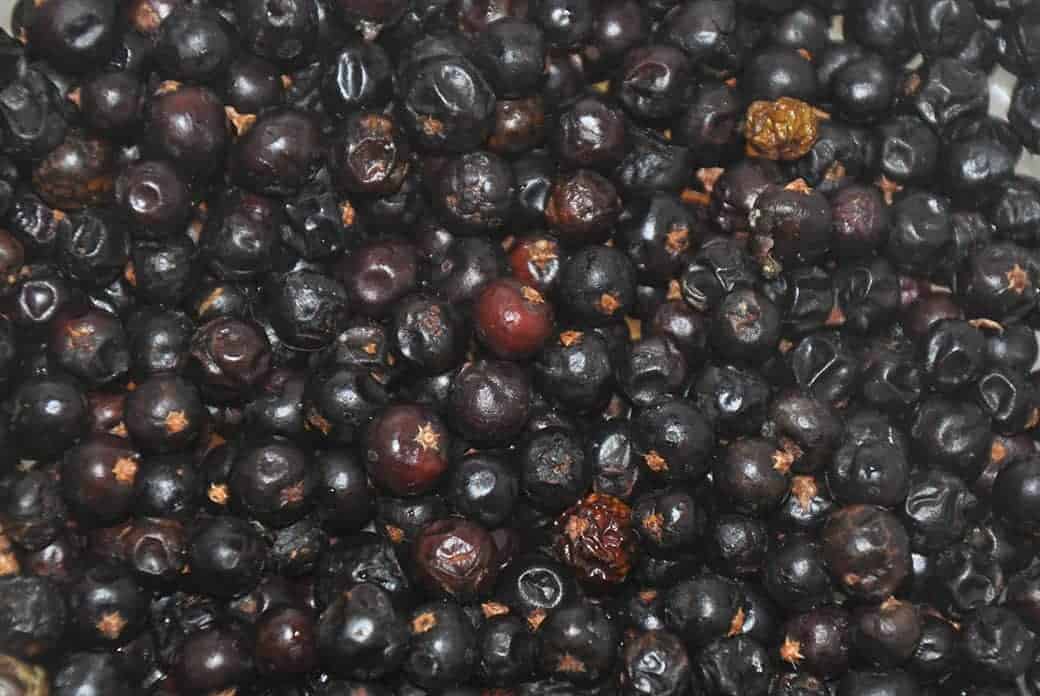 Juniper Berries close up.