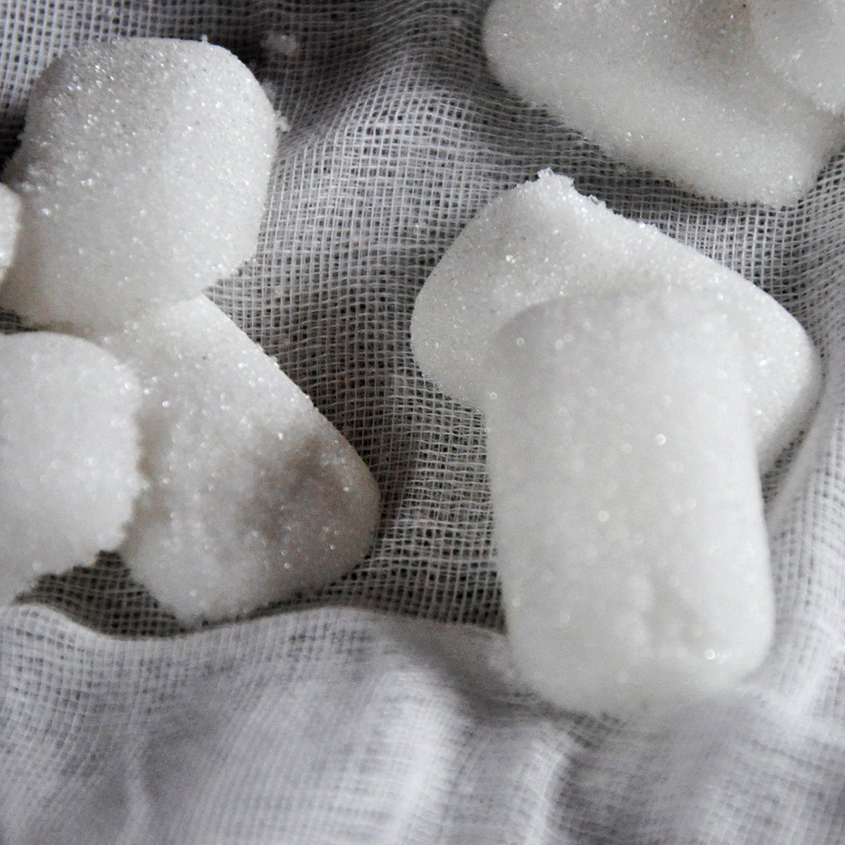 DIY Sugar Cubes for cocktails or anything else really