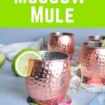 "Classic Moscow Mule" with a few copper mugs in the background.