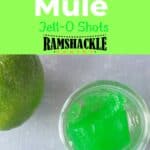 "Moscow Mule Jell-O Shots" with one shot in a small glass and a part of a lime.