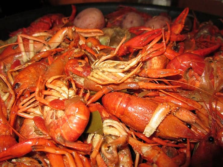 A picture of crawfish that would have been available to the people at the time