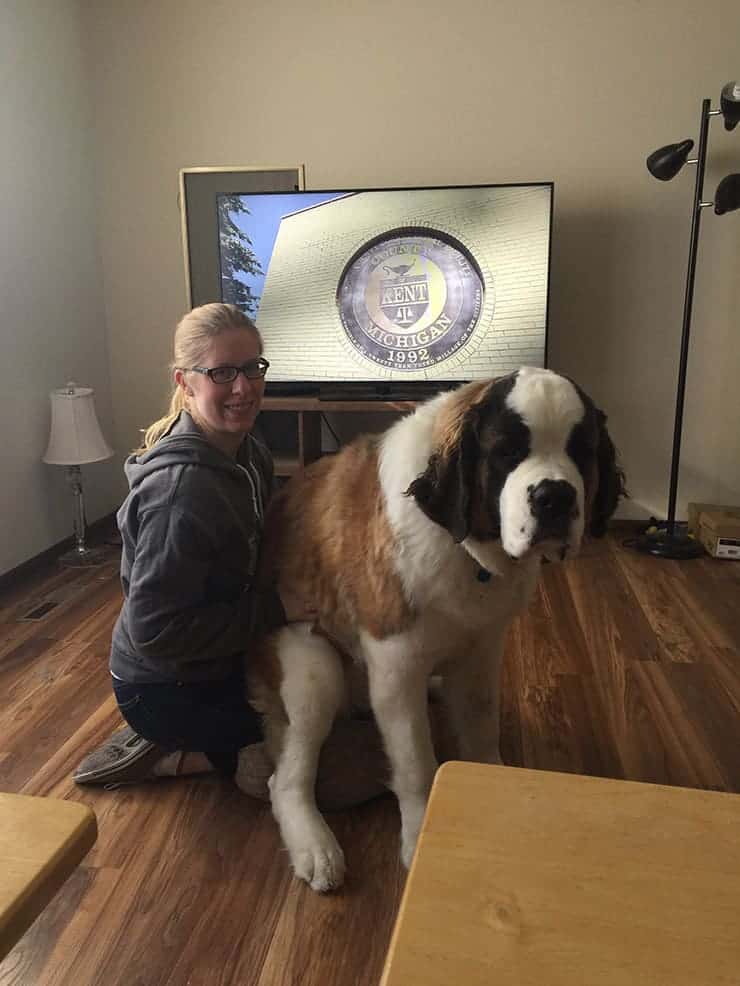 Kate Winslet the St. Bernard sitting on Ashley's lap