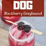 Black Dog Blackberry Greyhound