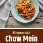 Homemade Chinese Chow Mein Noodles on a plate.