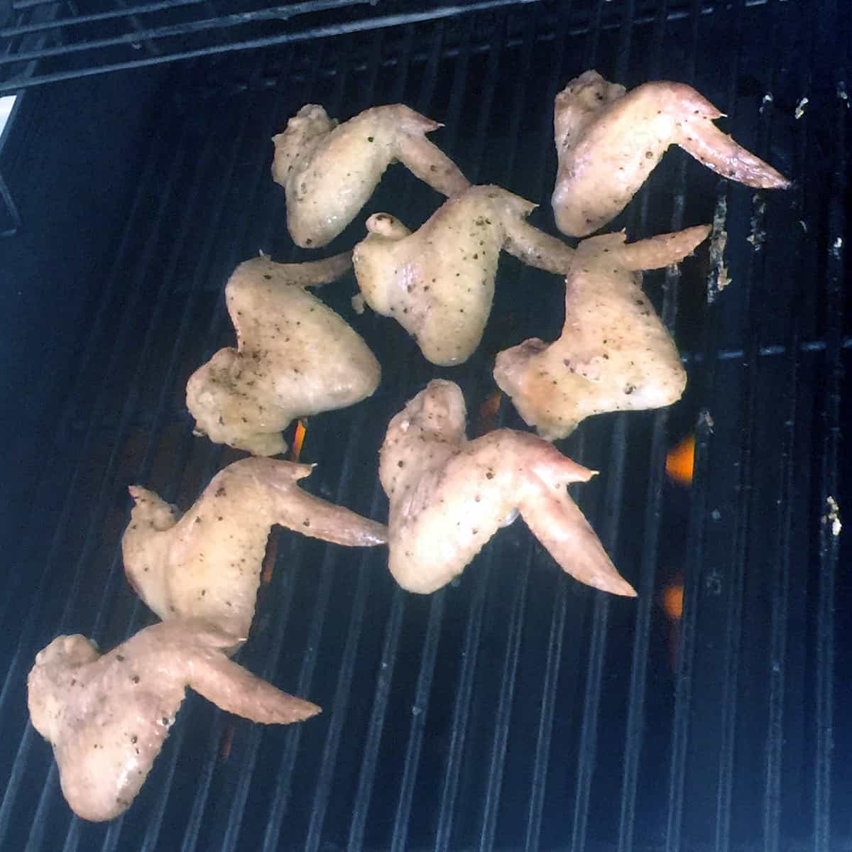 Eight Chicken Wings on a grill while they are being baked.