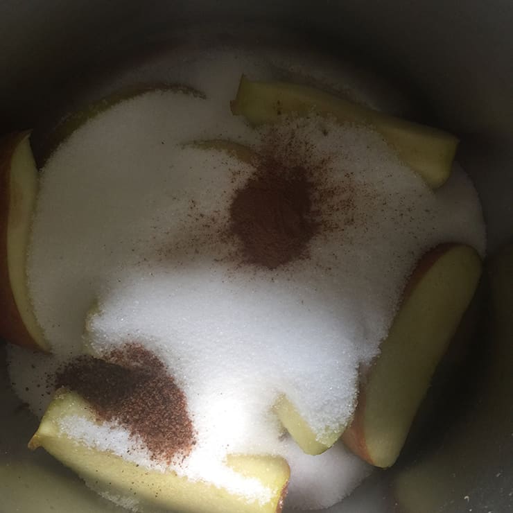 Apples, sugar, cinnamon, and nutmeg in saucepan