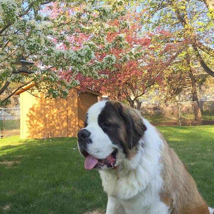 Kate Winslet in the backyard