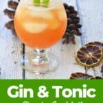 "Gin and Tonic Classic Cocktail" and a drink on a picnic table with dried limes and pine cones