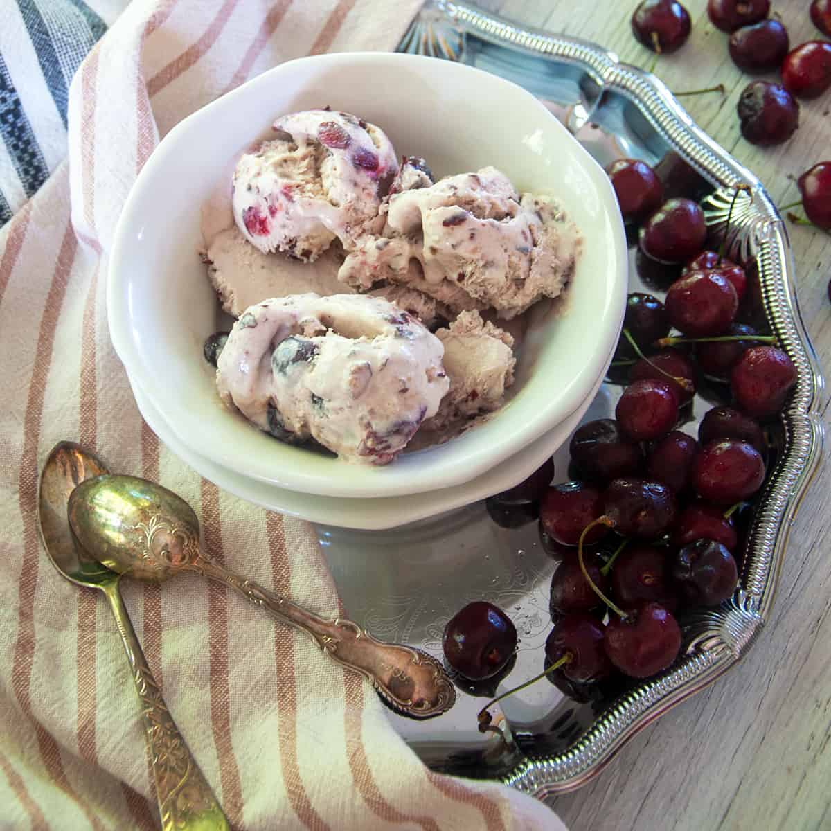 One bowl of black cherry ice cream on a silver platter that is covered in fresh cherries.