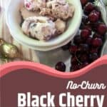 Bowl of No-Churn Black Cherry Ice Cream with text overlay.