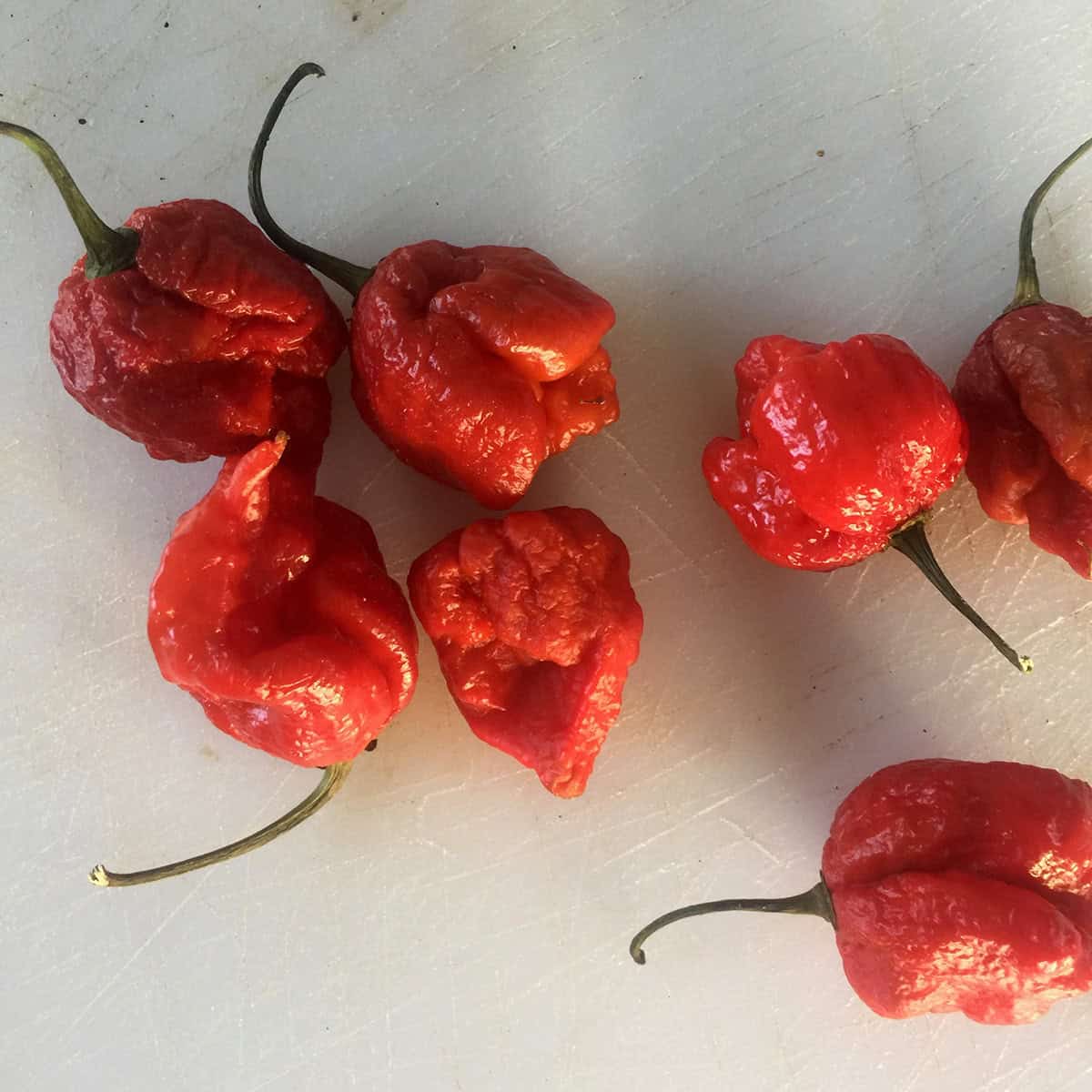 Seven Reaper Peppers on a cutting board